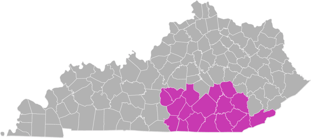 The state of Kentucky with all the counties that Cumberland region serves shaded in pink.