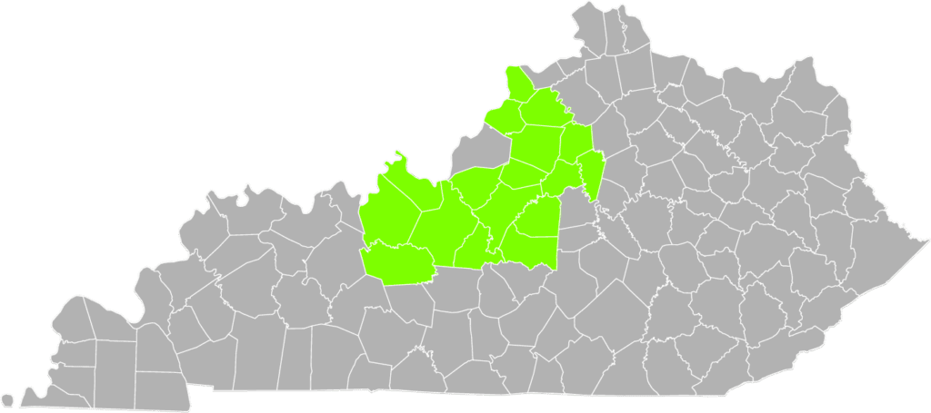 The state of Kentucky with all the counties that Salt River region serves shaded in light green.