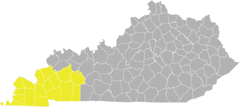 The state of Kentucky with all the counties that The Lakes region serves shaded in yellow.